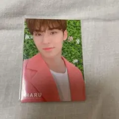 SEVENTEEN HARU ミンギュ トレカ