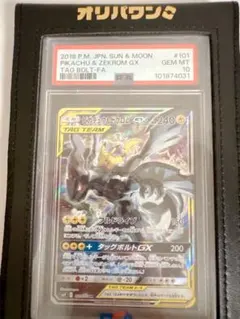 2026年最新】ピカチュウ&ゼクロム sa psa10の人気アイテム - メルカリ