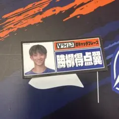 2026年最新】笠柳翼の人気アイテム - メルカリ
