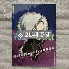 ストグラ RPL RPF ヴァン・ダーマー グッズまとめ 新品未開封 ストグラ RPL RPF ヴァン・ダーマー グッズまとめ 新品未開封