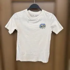 値下げしました♬Patagonia Tシャツ S
