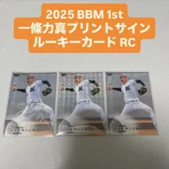 Item thumbnail for item 6c2cec38-4152-472e-b9e4-cfece745d953