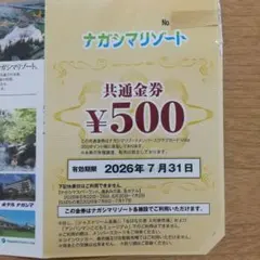 【引き取りのみ】ナガシマスパーランド優待券1枚分(3枚あります) 2026年最新】ナガシマスパーランド優待券の人気アイテム - メルカリ