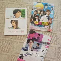 レインツリーの国 映画パンフレット