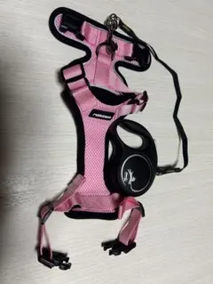 Item thumbnail for item cdc857b5-6263-4559-8eae-bdae08769c4f