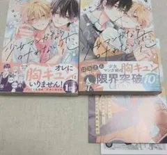 少女マンガなら叶わない　1巻　2巻　2巻特典小冊子　特典ペーパー2種