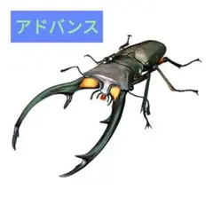 【エラフスホソアカクワガタ（グリーン）】いきもの大図鑑アドバンス　クワガタ02