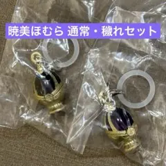 魔法少女まどか☆マギカ まどマギ めじるしアクセサリー ほむら 通常 穢れセット