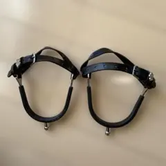 Item thumbnail for item 789ee319-8609-4be3-b320-0196f9aa4f9e