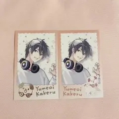 にじさんじ 夢追翔 わんにゃんdays チェキ風カード