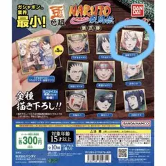 2026年最新】豆ガシャ色紙 NARUTO-ナルト- 疾風伝の人気アイテム