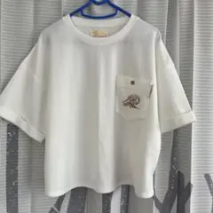 ホワイトTシャツ