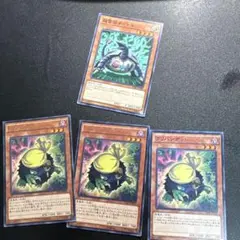 2025年最新】シャドールの人気アイテム - メルカリ