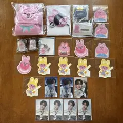 straykidsトェッキ　チャンビン　ブランケット　うちわカバー　グッズセット stray kids トゥエッキうちわケース うちわカバー チャンビン