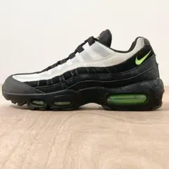 【美品】NIKE エアマックス95 Antifreeze 25.5cm