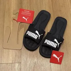 Item thumbnail for item a1357ab3-47bf-4a33-9426-2341a0d65492