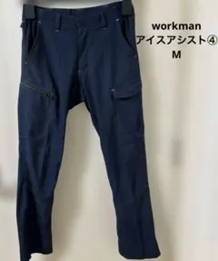 workman アイスアシストM④のサムネイル