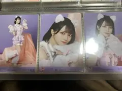 2026年最新】佐々木舞香 猫の人気アイテム - メルカリ