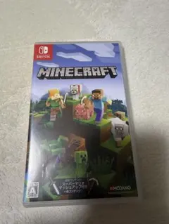 Minecraft Nintendo Switch版