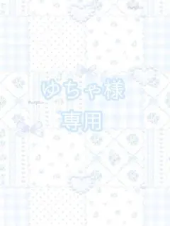 ゆちゃ様専用（あいすランチェキ）