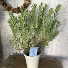 AGB33様 リクエスト 2点 まとめ商品