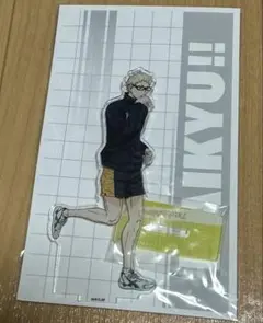 ハイキュー　月島　黒尾　描き下ろし　アクリルスタンド