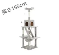 Item thumbnail for item 69093662-493d-4d4a-b283-a72fc77fbb87