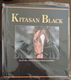 Item thumbnail for item 9477a5d3-20e2-4ba1-b135-9d497ecd78ff