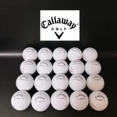 Item thumbnail for item e6895867-1161-4551-9054-a8a9d34ef120