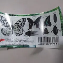 2026年最新】原色日本昆虫図鑑Ⅱの人気アイテム - メルカリ
