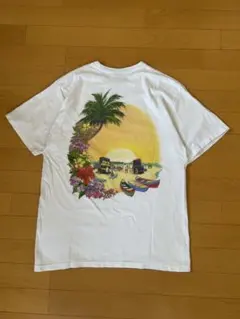 【希少】オールドステューシー Stussy Tシャツ M 白のサムネイル