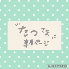 たつ様　専用ページ　羊毛フェルト　トイプードルのサムネイル