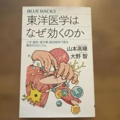 美品 BLUE BACKS 東洋医学はなぜ効くのか