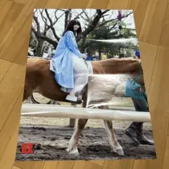 乃木坂46 齋藤飛鳥 両面ポスター