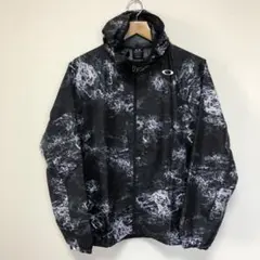 Item thumbnail for item 193e7540-0beb-489d-a5f5-b252a24cc637