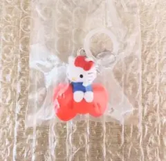 【匿名配送】ハローキティアメリカンデザインめじるしアクセサリー