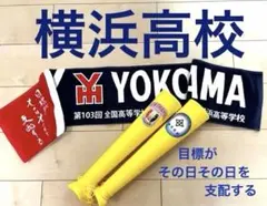 希少 じつは！腹筋くんライト 球団限定モデル 阪神タイガース 限定品