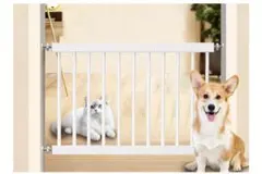 Item thumbnail for item 5409160f-7f54-4b63-b05e-7f4cef70926a