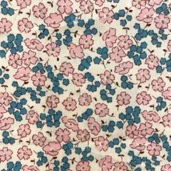 Item thumbnail for item 80446d42-3cbb-49e3-b3c6-5195b7ba2908