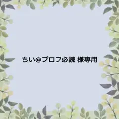 2026年最新】プロフ必読の人気アイテム - メルカリ