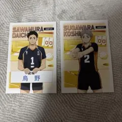 ハイキュー!! 主将・副主将フェア ポストカード 澤村大地 菅原孝支