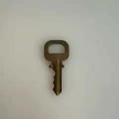 ルイ ヴィトン パドロック カデナ 鍵322