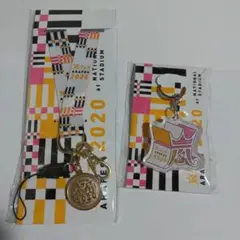 嵐フェス グッズ