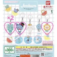 Jochum めじるしアクセサリー 1