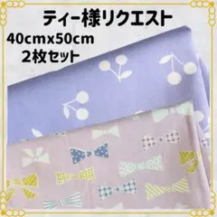 【ティー様リクエスト】40×50 ランチョンマット 給食ナフキン ２枚セット