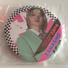 2026年最新】ユニット名：THE RAMPAGE from EXILE TRIBE ピンズ