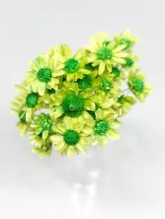 ゆきえり様 リクエスト 2点 まとめ商品