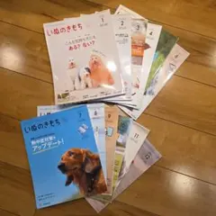 最終価格‼️がくぶん ペット介護士養成講座 テキストDVD - メルカリ