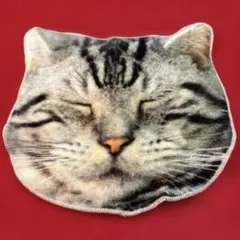 Item thumbnail for item 8db36874-0be9-4e2c-9b7c-9c659607552e