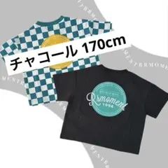 Item thumbnail for item 03870459-803d-4f3e-bf24-3ce50e203d6e